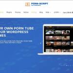 Porn-Script Wordpress Adult Theme Profile Picture