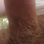 Hans Müller Profile Picture