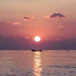 dawdsaf dawd Profile Picture