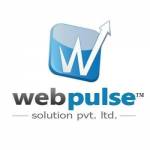 Webpulse Solution Profile Picture